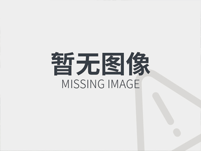 彈性膜片聯軸器的結構及壓力作用